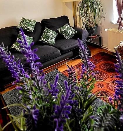 Bright Studio Close To Zaventem Airport Брюссель Экстерьер фото
