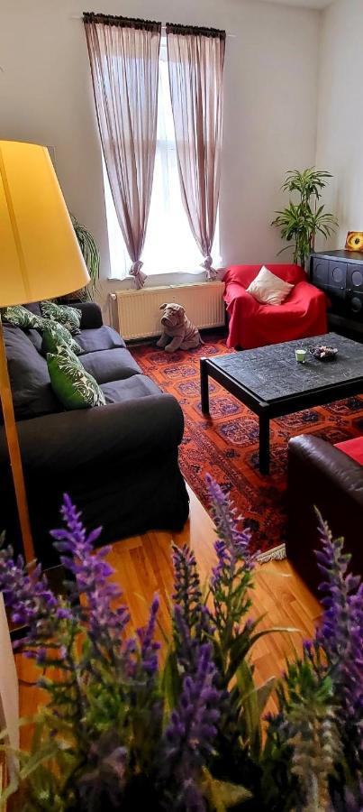 Bright Studio Close To Zaventem Airport Брюссель Экстерьер фото